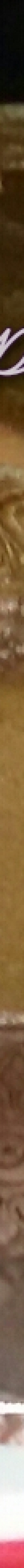 Loops Pastry Loops Pastry