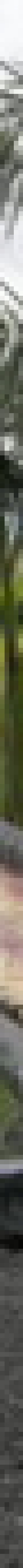 REAL ESTATE INDEPENDENT MARKERTERS (REIM)