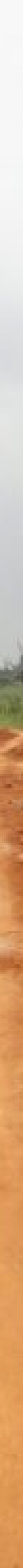 REAL ESTATE INDEPENDENT MARKERTERS (REIM)