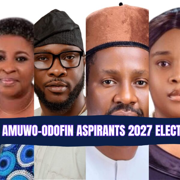 NDC Aspirants for House of Reps, Assembly Seats Emerge in Amuwo-Odofin